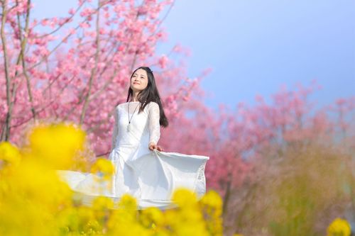 樱花谷